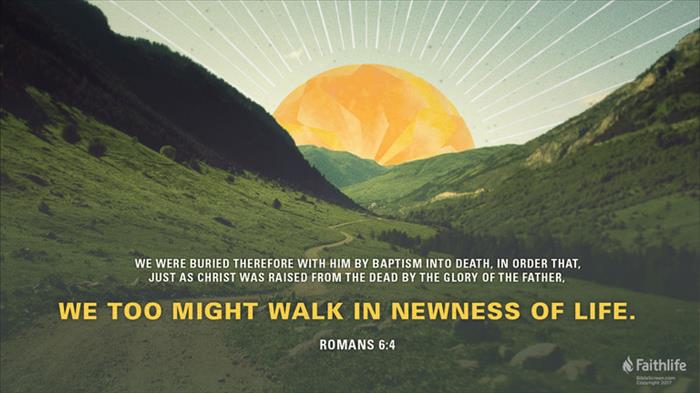 Application of Romans 6:1-14