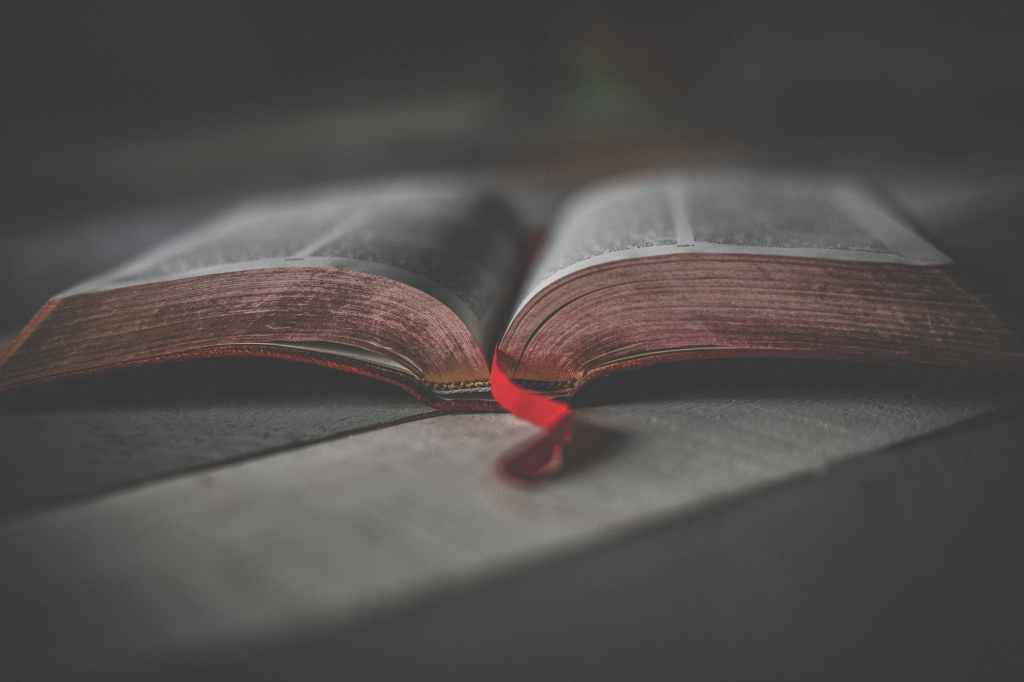 The Story of Scripture – Genesis to Revelation – Part 2: Sin, Rebellion, Separation from God, and&nbsp;Death