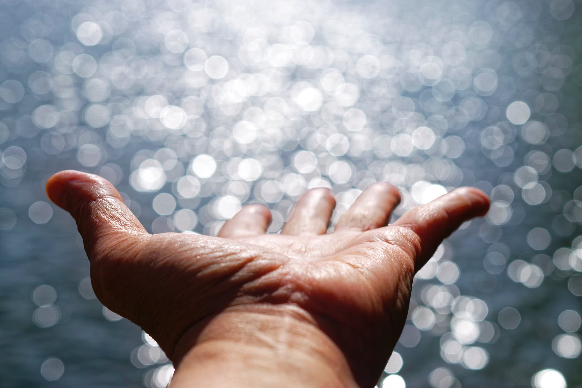 Tracing God’s Kingdom Program and Covenants. Part 10: Prophets